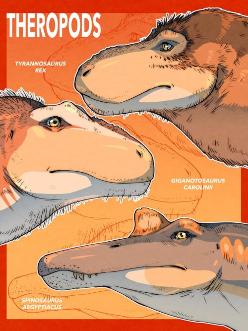 Dinosaur Print Set - Image 4