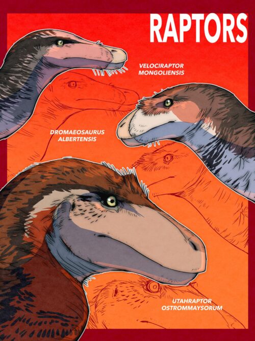 Dinosaur Print Set - Image 3