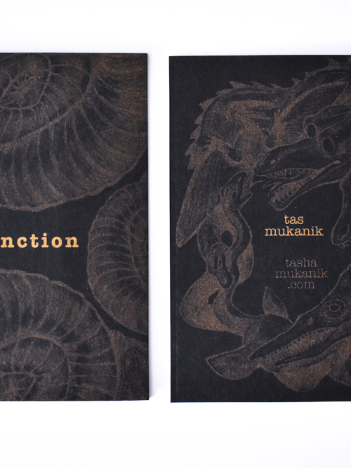 Extinction Zine (+ Print Bundle) - Image 2