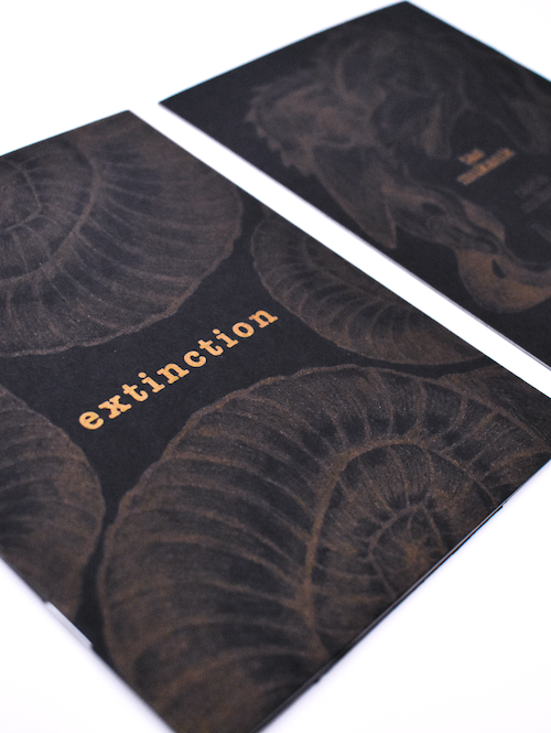 Extinction Zine (+ Print Bundle) - Image 3
