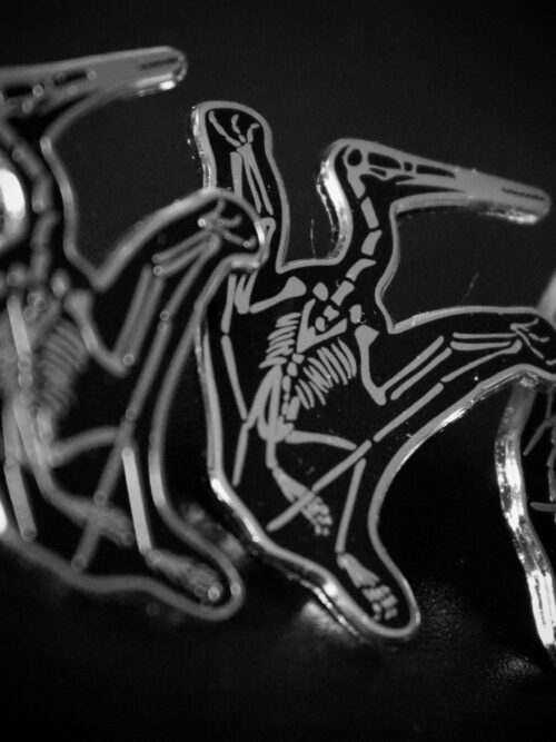 Aerodactylus: Bonebed Collection - Image 2