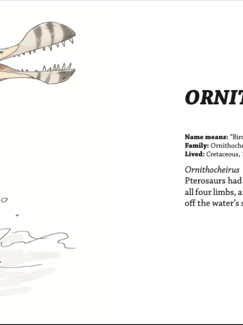 Dino Days [PDF] - Image 4