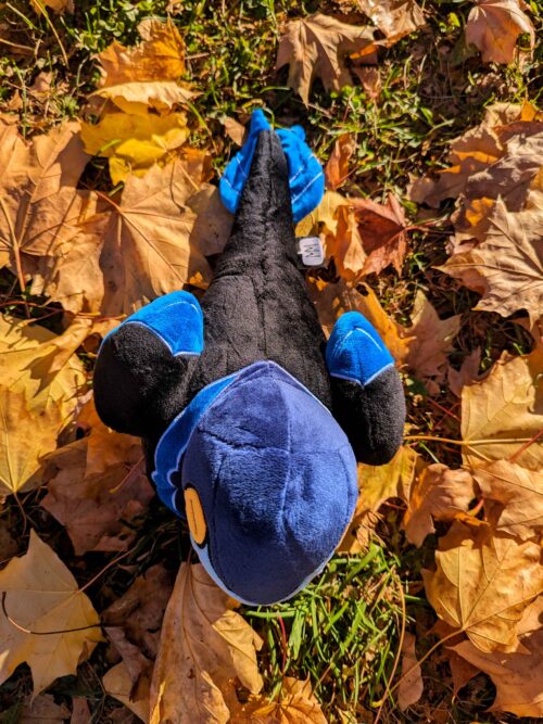 Dino Loafs: Rye the Microraptor - Image 3