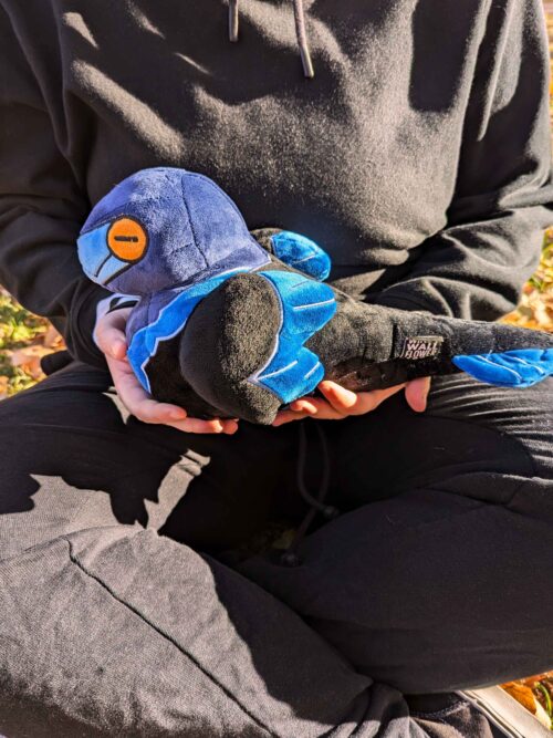 Dino Loafs: Rye the Microraptor - Image 5